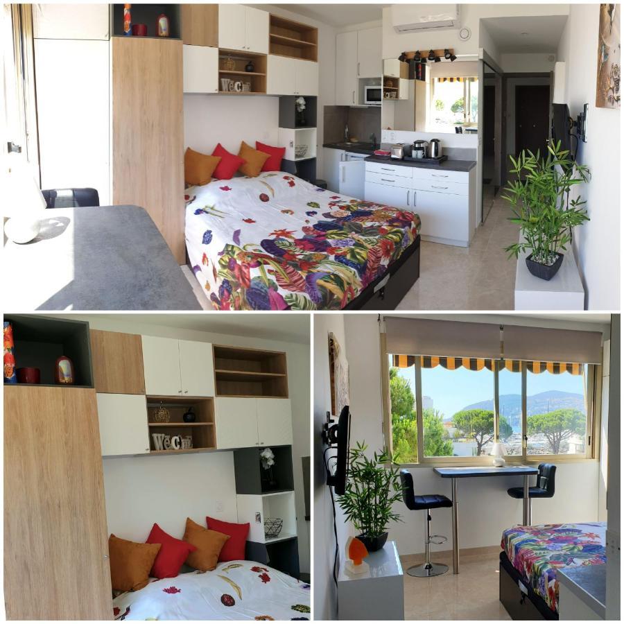Garden And Beach Sea View Apartment Cannes Мандельё-ла-Напуль Экстерьер фото