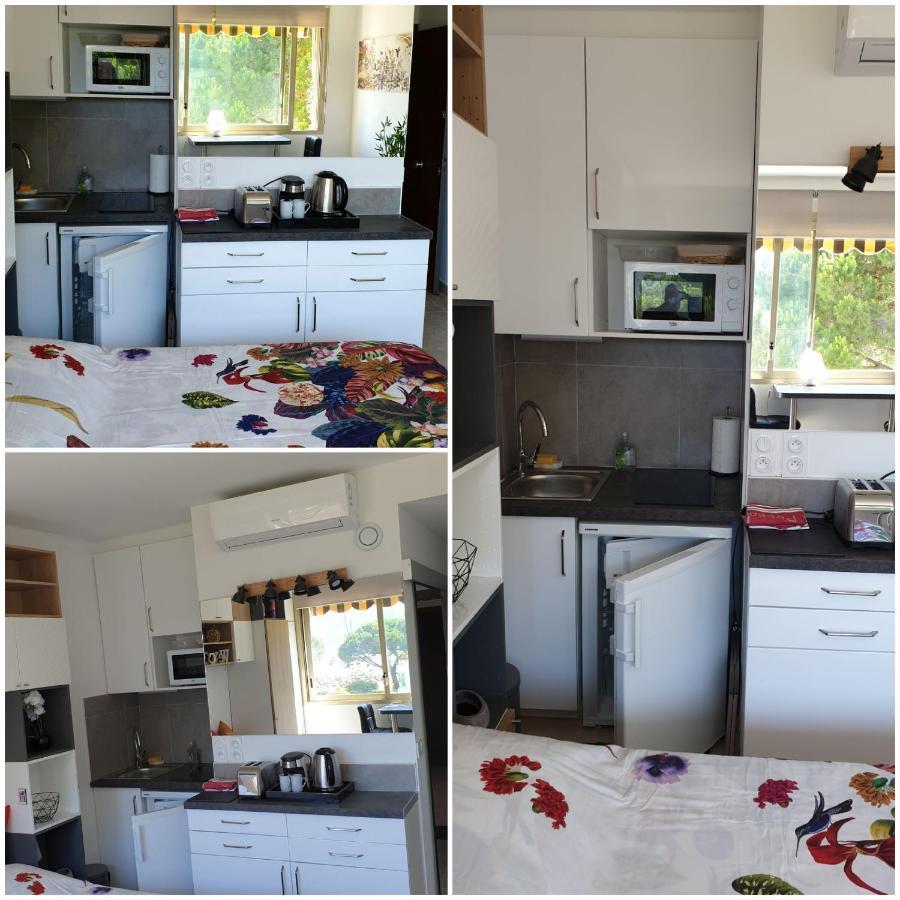 Garden And Beach Sea View Apartment Cannes Мандельё-ла-Напуль Экстерьер фото