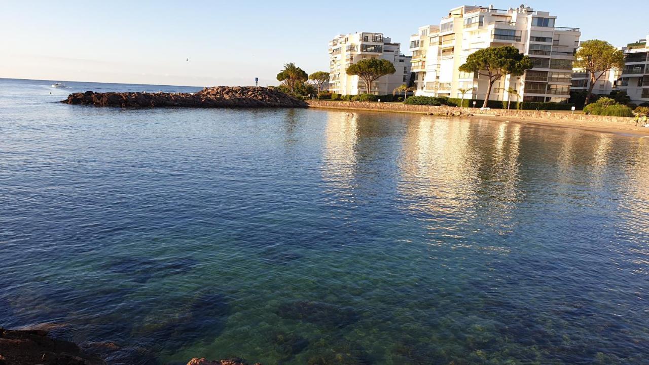 Garden And Beach Sea View Apartment Cannes Мандельё-ла-Напуль Экстерьер фото