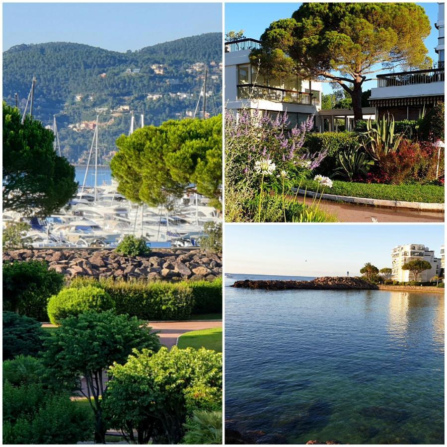 Garden And Beach Sea View Apartment Cannes Мандельё-ла-Напуль Экстерьер фото